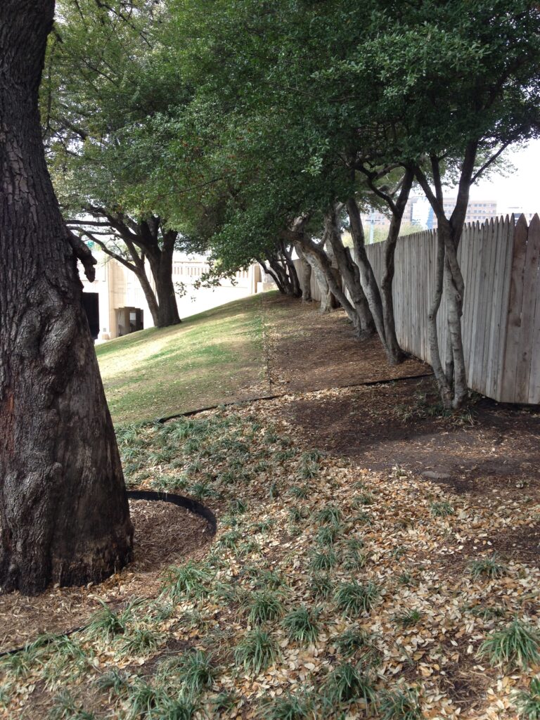 Dallas Grassy Knoll