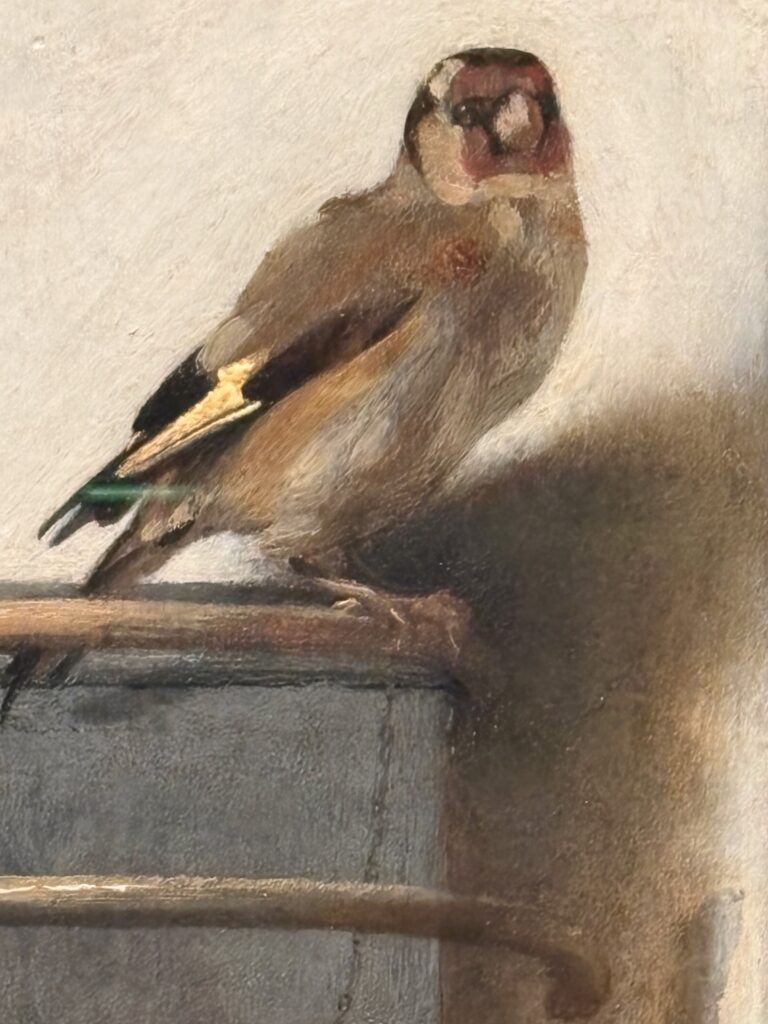 Fabritius - The Goldfinch