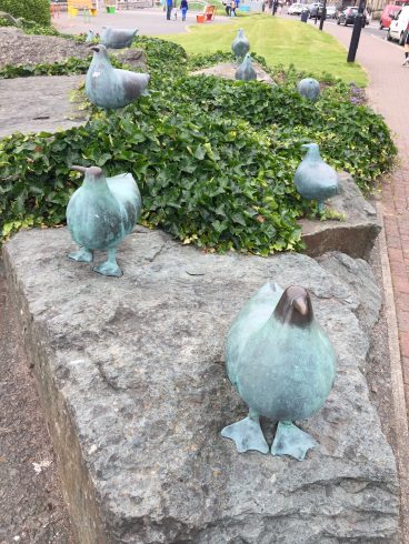 seagulls in morecambe