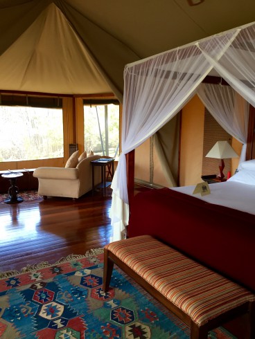 Our tented luxury lodge with view of the bush