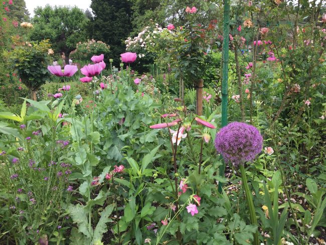 Summer in Monet's garden, Giverny