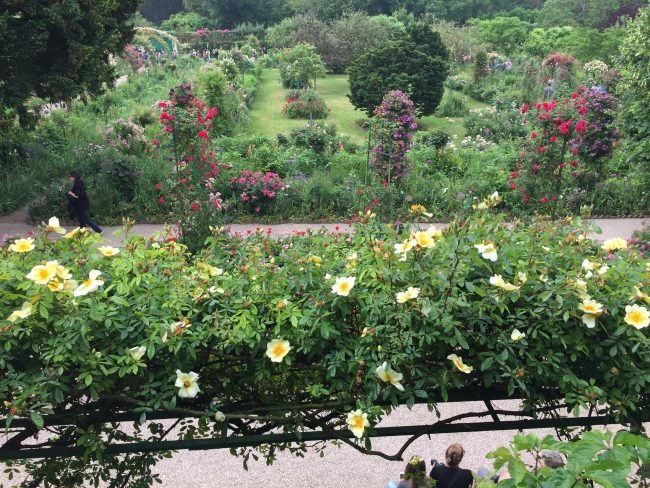View of gardens from the house, Giverny