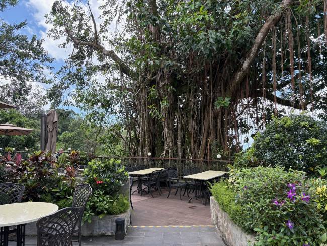 Dining at the Peak Lookout