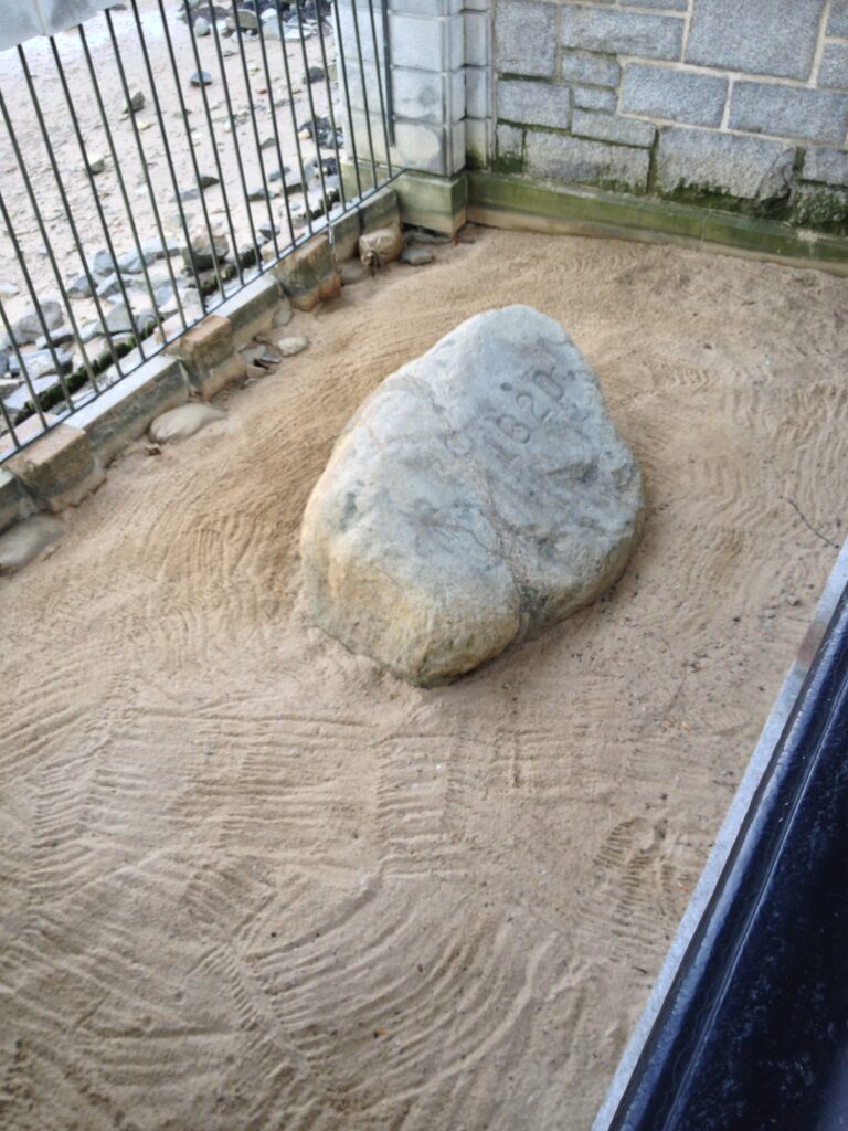 Plymouth Rock