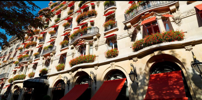 Geraniums